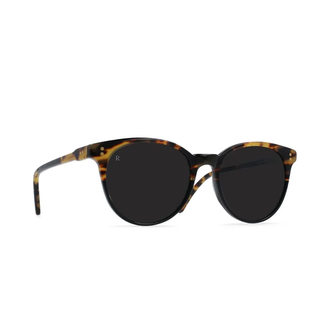 Adin Sunglasses (Tamarin   Dark Smoke)
