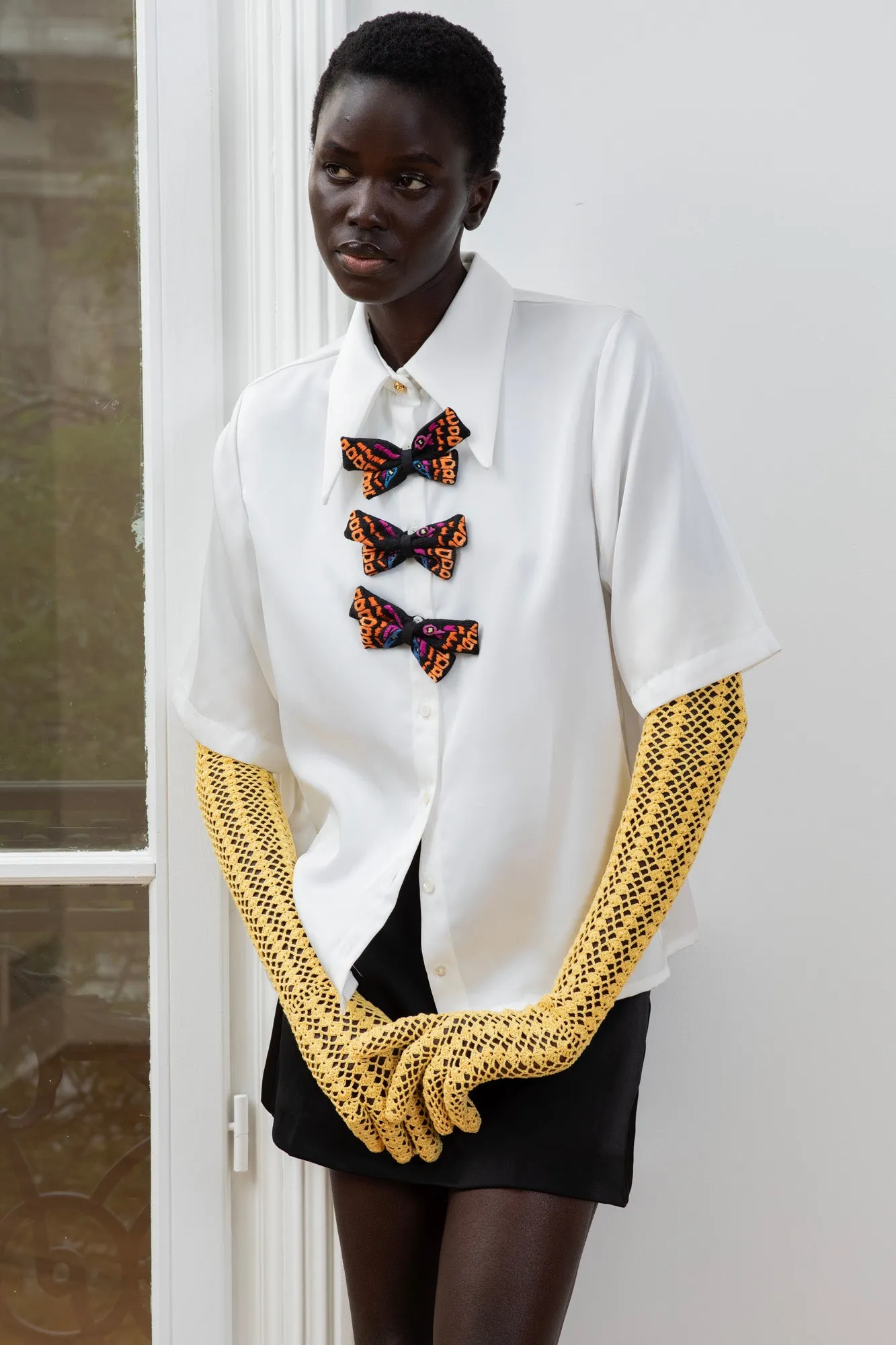 Papillon shirt