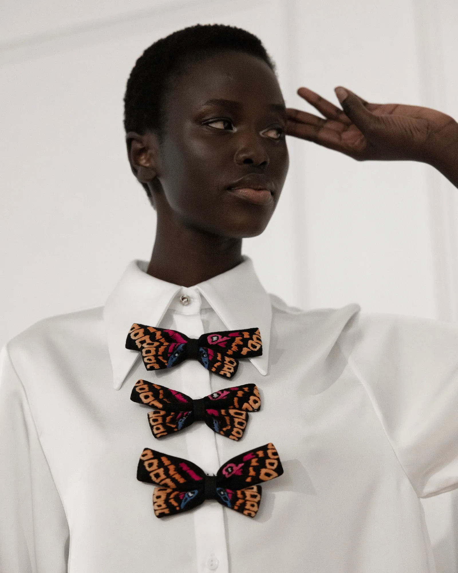 Papillon shirt